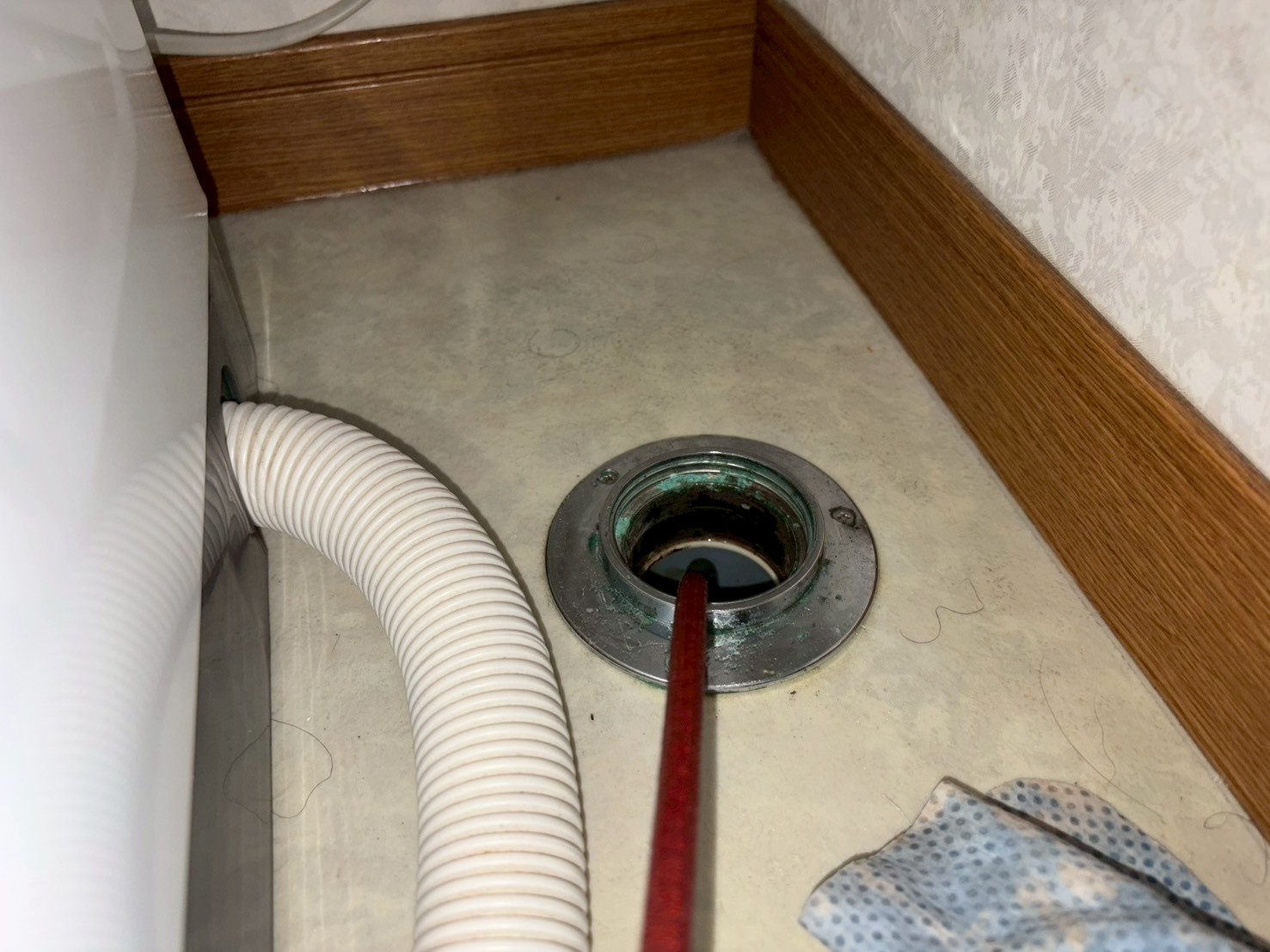 LINE_ALBUM_HPに使えそうな写真_251221_43