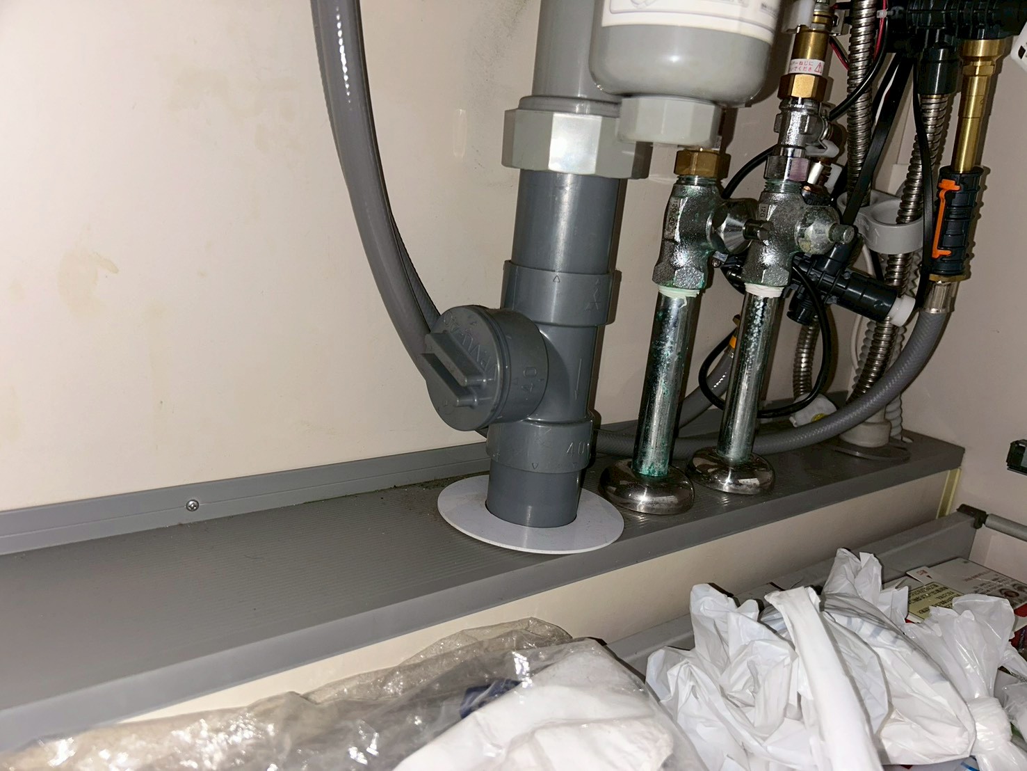 LINE_ALBUM_HPに使えそうな写真_251221_138