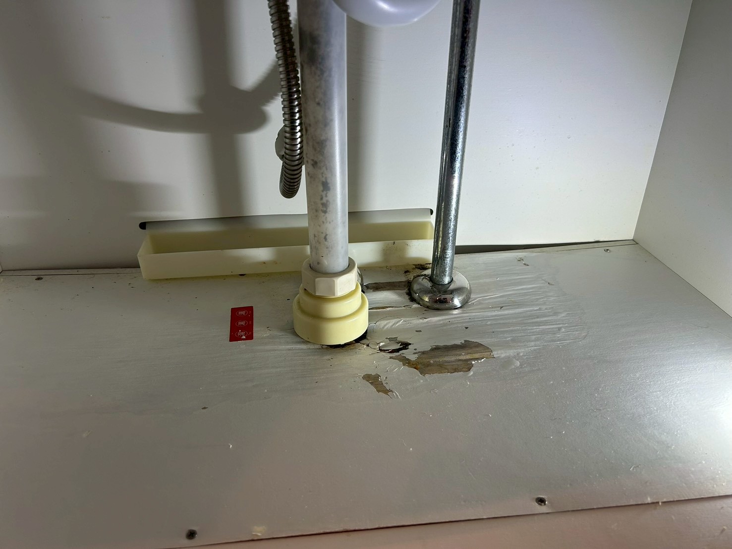 LINE_ALBUM_HPに使えそうな写真_251221_132